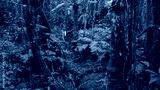 preview cold