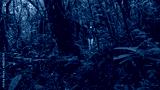 preview cold