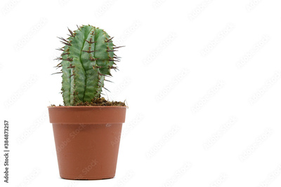 image to crop
