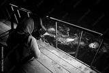 preview bw