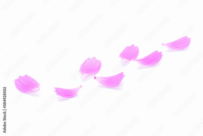 image to crop