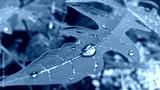 preview cold