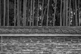 preview bw