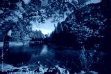 preview cold