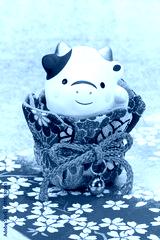 preview cold