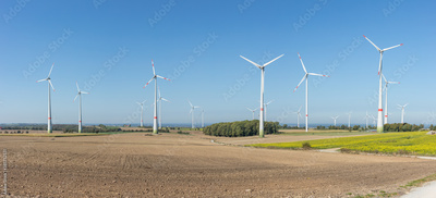 image to crop