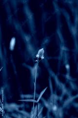 preview cold