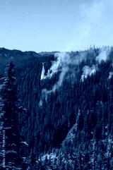 preview cold