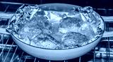 preview cold