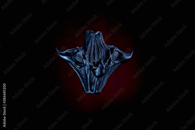 image to crop