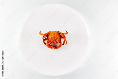 image to crop