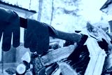 preview cold