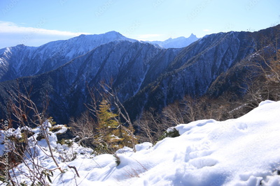 image to crop