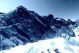 preview cold