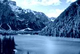 preview cold