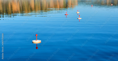 image to crop