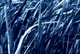 preview cold