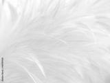 preview bw