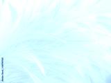 preview cold