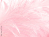 preview original