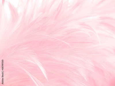 image to crop