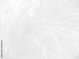 preview bw