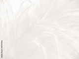 preview original