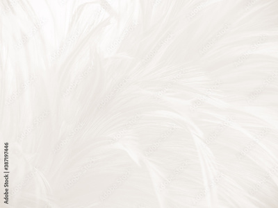 image to crop