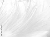 preview bw