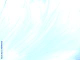 preview cold