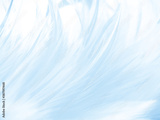 preview original