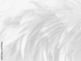 preview bw