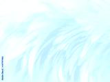 preview cold