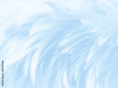 image to crop