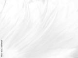 preview bw