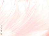 preview original