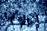 preview cold