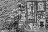 preview bw
