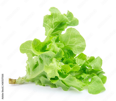 image to crop