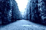 preview cold