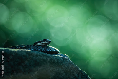 image to crop