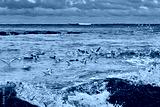preview cold