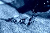 preview cold
