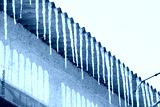 preview cold