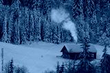 preview cold