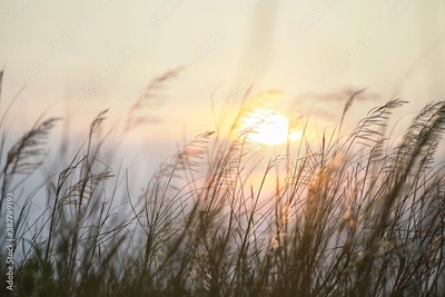 image to crop