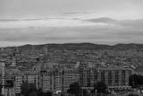 preview bw
