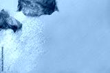 preview cold