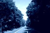 preview cold