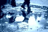 preview cold